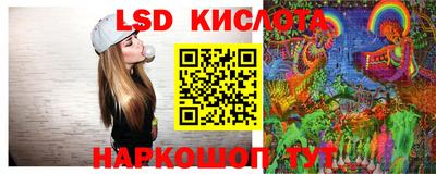 PSILOCYBIN Можга